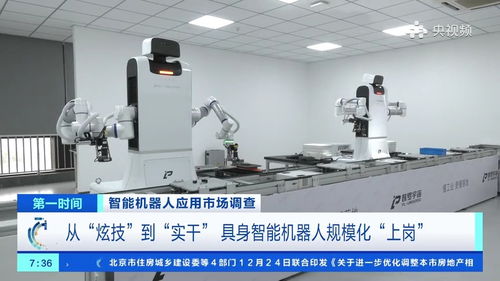 200元一天就能帶個機器人回家，具身智能加速走進生活與工廠——廣西軟件開發(fā)的機遇與挑戰(zhàn)