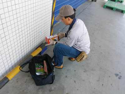 食品廠老鼠防治方案，早用早省心 清潔服務助您無憂經營